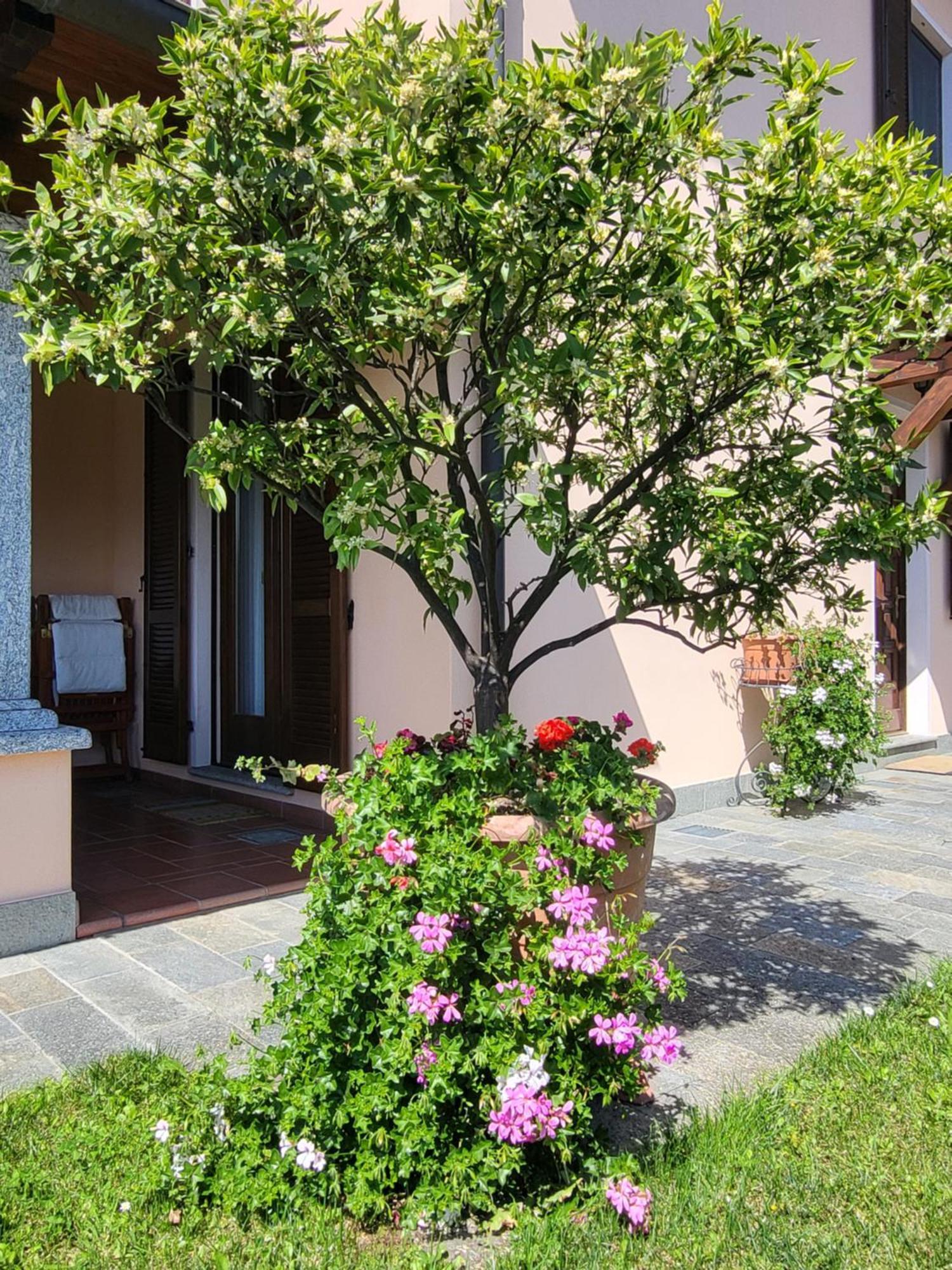Casa Intignano - Camera Con Bagno E Portico Vista Lago トレメッツォ エクステリア 写真